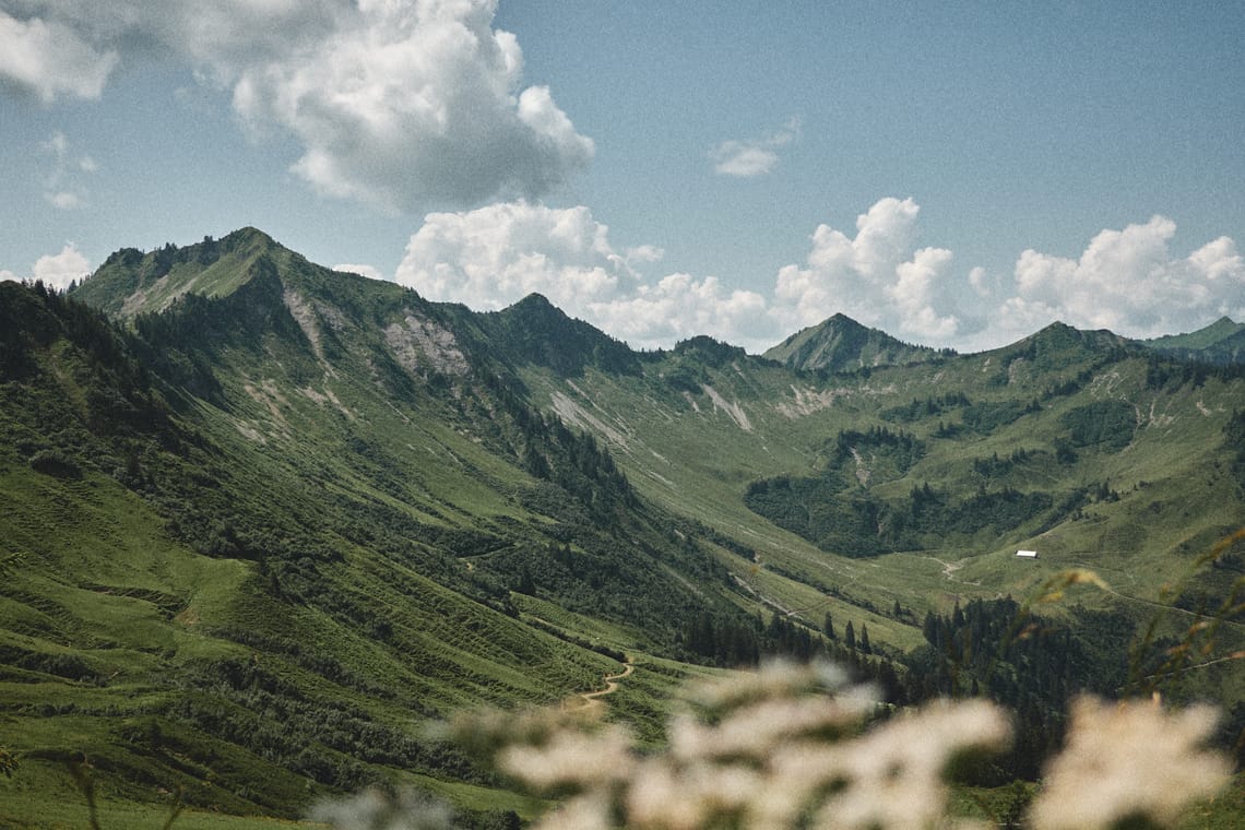 Vorarlberg, Austria · July 2024 · © Philipp Doms